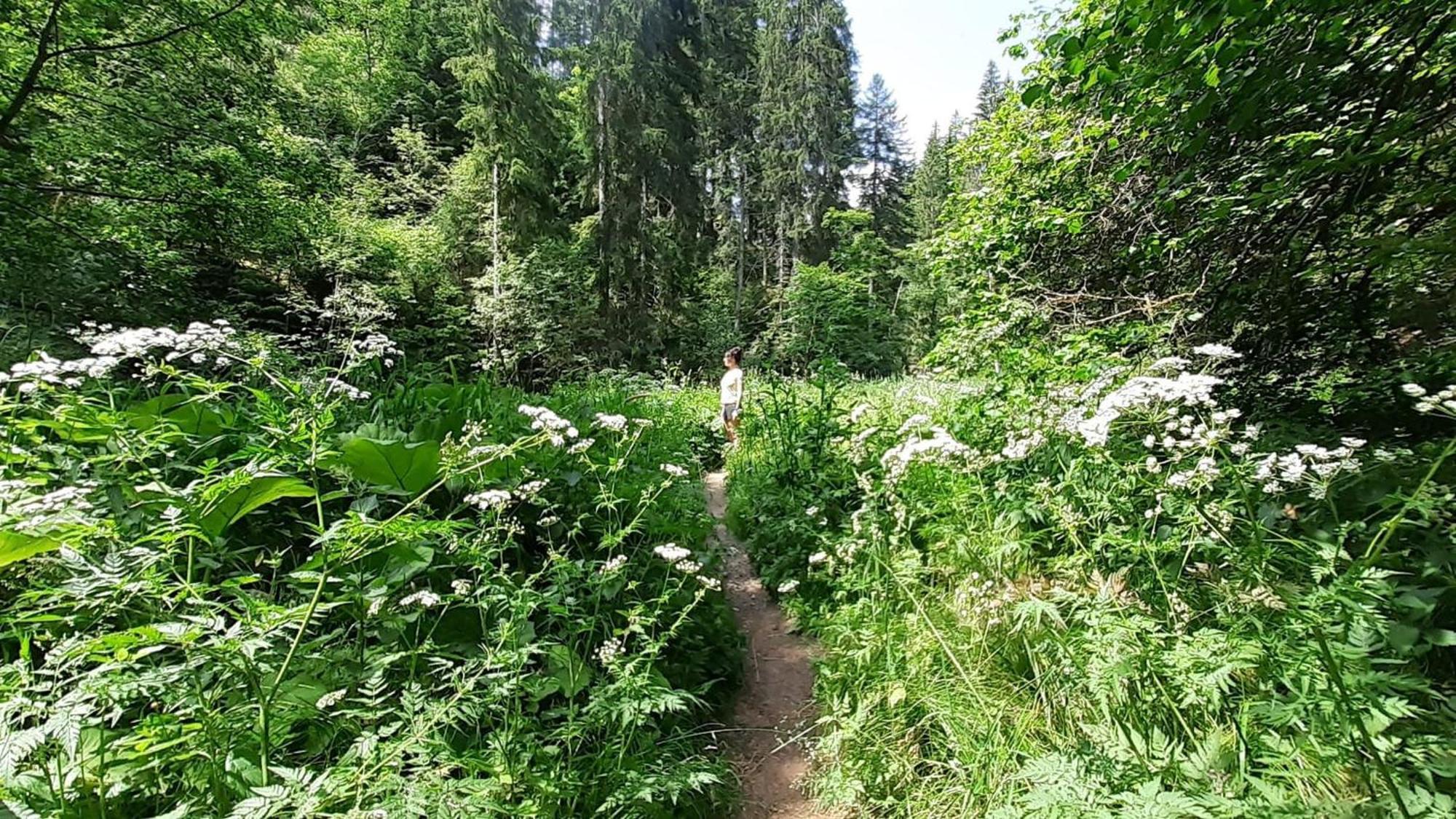 Landhaus Alpenpanorama Löffingen Buitenkant foto