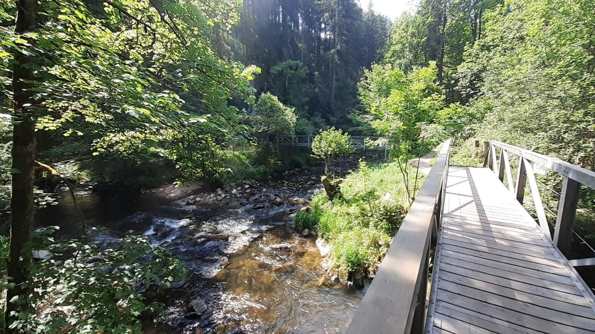 Landhaus Alpenpanorama Löffingen Buitenkant foto